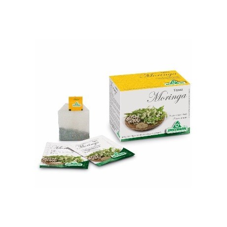 Tisana Moringa 20 Bustine