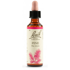 Pine Bach Orig 20 ml