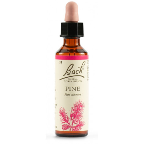 Pine Bach Orig 20 ml