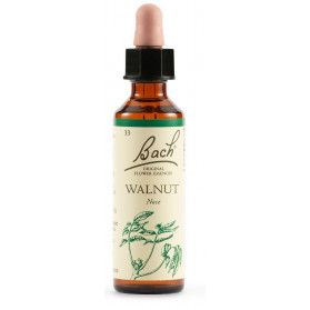 Walnut Bach Orig 20ml