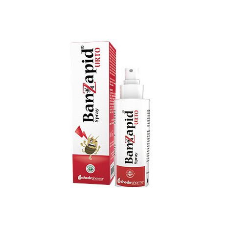 Banzapid Spray Trattamento 100 ml