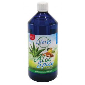 Aloe Spice 1000ml