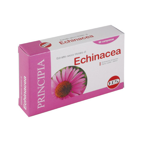 Echinacea Estratto Secco 60 Compresse