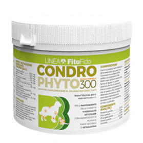 Condrophyto Polvere 300g