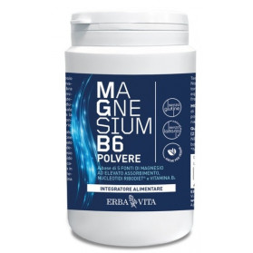 Magnesium B6 Polvere 200g