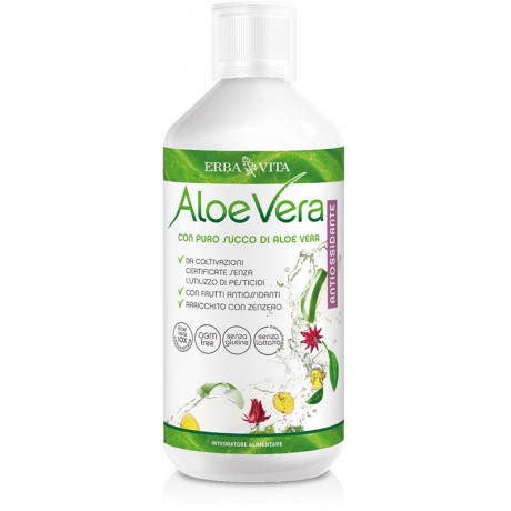 Aloe Vera Puro Suc Antios 1l