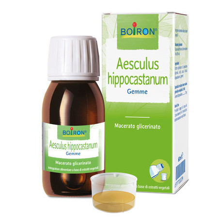 Aesculus Hip mg 60ml Int