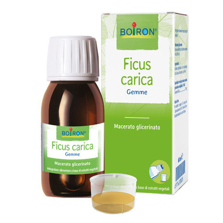 Ficus Carica mg 60ml Int