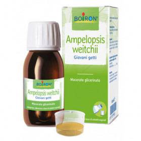 Ampelopsis Wei mg 60ml Int