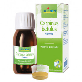 Carpinus Betulus mg 60ml Int