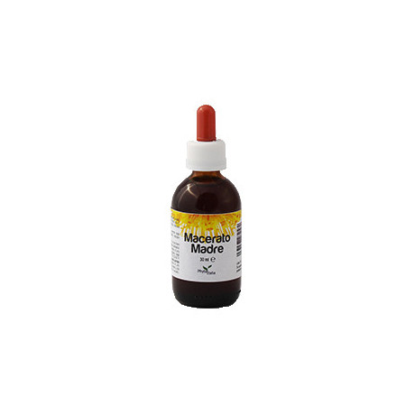 Macerato Madre Liquido 30 ml