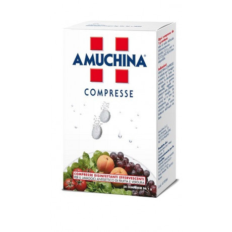 Amuchina Compresse 1 g 24 Pezzi