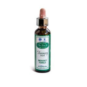 Ainsworths Recov Plus 20ml