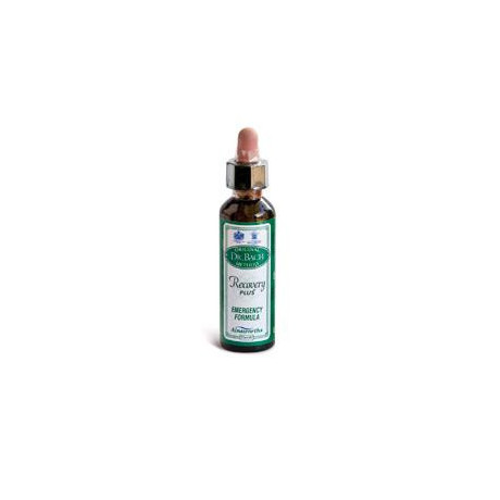 Ainsworths Recov Plus 20ml