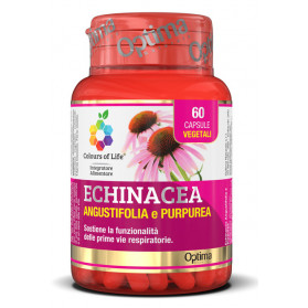 Colours Of Life Echinacea 60 Capsule 500 mg