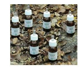 Plantasalus Olio Massaggio 30 ml