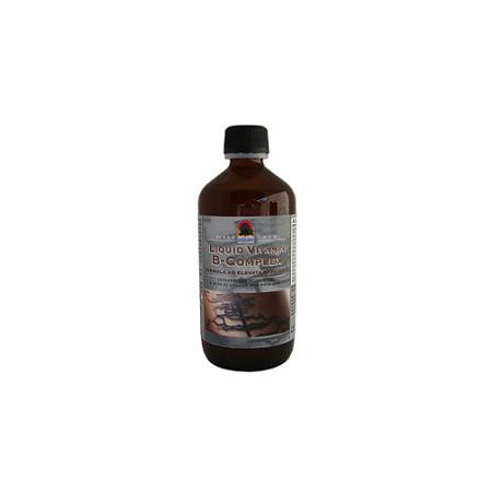 Liquid Vitamin B Complex 240 ml