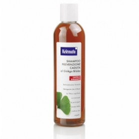 Shampoo Prevenzione Caduta Al Ginkgo Biloba 250 ml