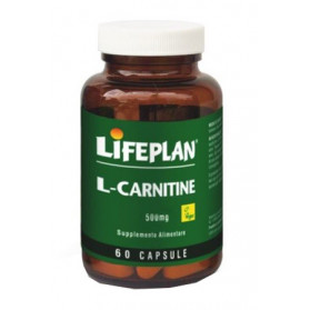 L-carnitine 500mg 60 Capsule