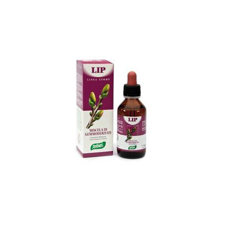 Zefirus Lip Linea Gemme