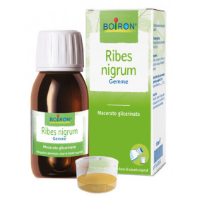 Ribes Nigrum mg 60ml Int