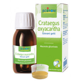 Crataegus Oxy mg 60ml Int