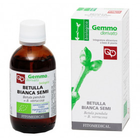 Betulla Bianca Semi mg Bio50ml