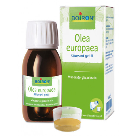 Olea Europaea mg 60ml Int