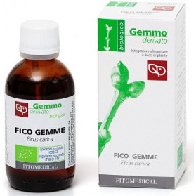 Fico Gemme mg Bio 50ml