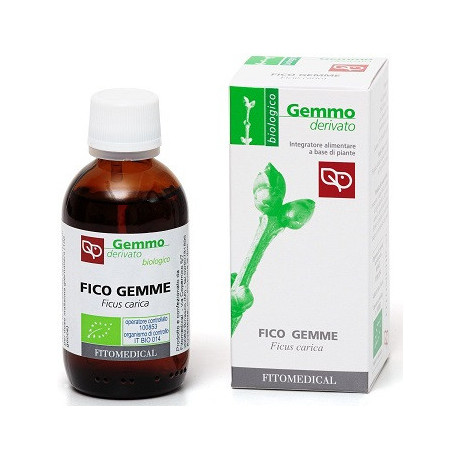Fico Gemme mg Bio 50ml