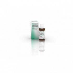 Hamamelis-homaccord Uso Orale Gtt30ml