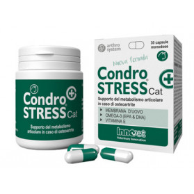 Condrostress + Cat 30 Capsule