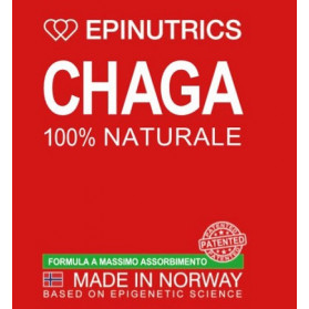 Epinutrics Epi Chaga 60 Capsule