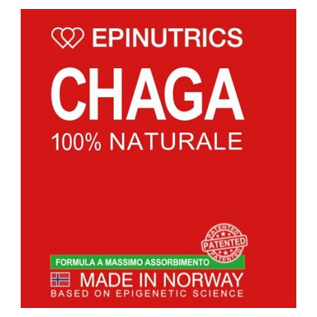 Epinutrics Epi Chaga 60 Capsule