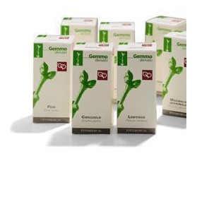 Avena 100ml mg