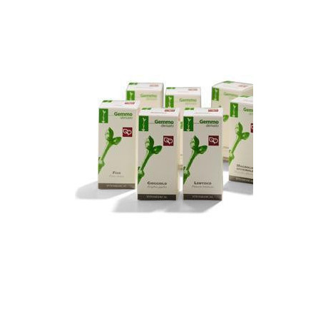 Avena 100ml mg