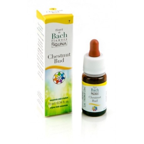 Chestnut Bud Gocce 10 ml