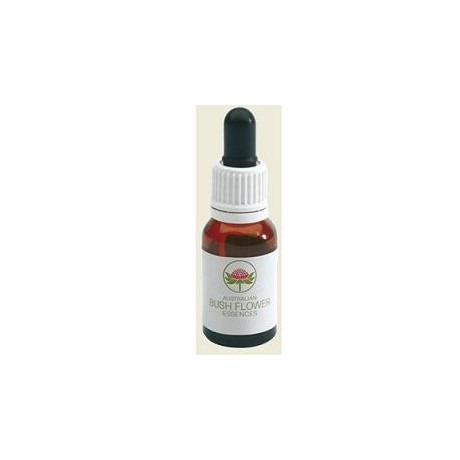 Dog Rose Australian 15ml