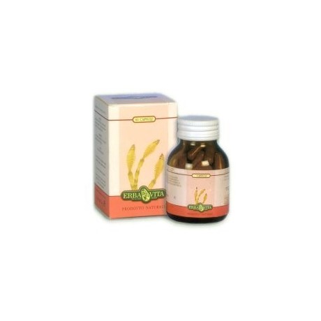 Artiglio Diavolo 60 Capsule 500 mg