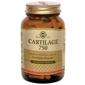 Cartilage 750 90 Capsule