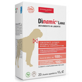 Dinamic Large 20 Bustine 10g