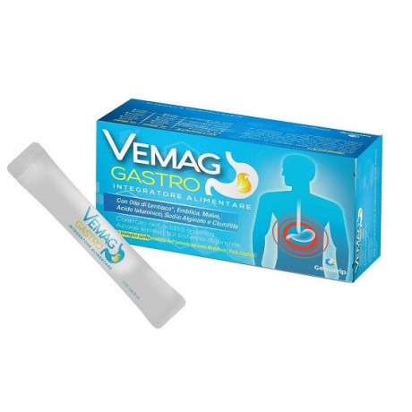 Vemag Gastro 20 Stick