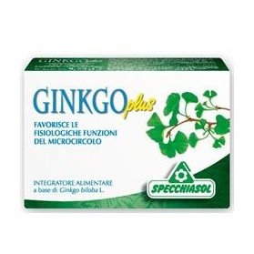 Ginkgo Plus 30 Capsule