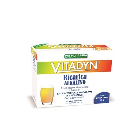Vitadyn Ricarica Alkalin14 Bustine