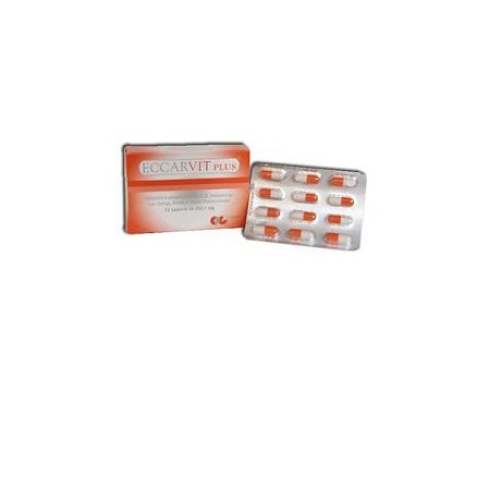 Eccarvit Plus 12 Capsule