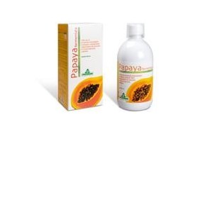 Papaya Fermentata 500ml