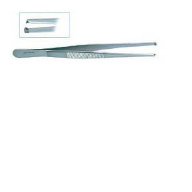 Pinza Chirurgica Dente Topo 14cm