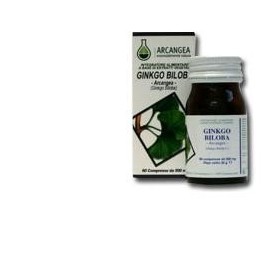 Ginkgo Biloba 60 Capsule 500 mg