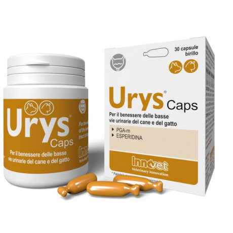 Urys Capsula 30 Capsule