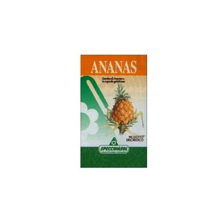 Ananas Erbe 80 Capsule